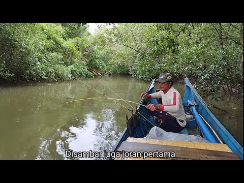 Selalu dibuat sibuk pabila mancing di sungai kecil ini