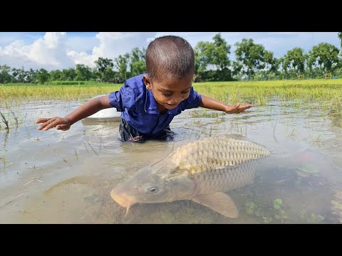 Amazing Traditional Boy Fish Catching By Hand in Water | Amazing Hand Fishing Video #Fish