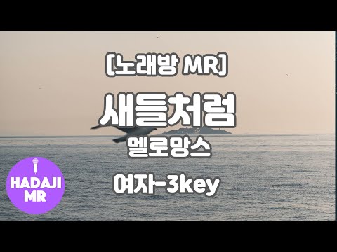 [DJ노래방/멜로디O] 멜로망스 – 새들처럼 MR (Bb 여자-3key) / 하다지MR