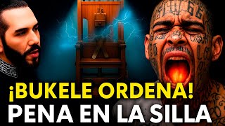 BUKELE ORDENA LO PEOR LA SILLA PARA LOS PANDILLEROS MAS PELIGROSOS EL SALVADOR 🔴