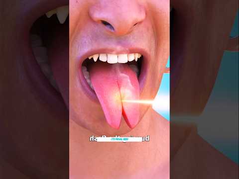 Building Wooden Log Cabin in ForestQI🌲🎈Survival House Step by Step "9#shorts #facts