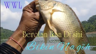 Surganya Pemancing Nila Liar #nyobokwwlterbaru 