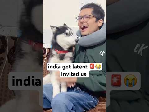 india got latent Back🚨😭 #shorts #dog #husky #cat | Review reloaded