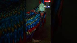 Hidden Death: Predators You Never See Coming
