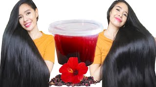 How To Make Hibiscus Oil For Hair Growth, Thicker Hair & Prevent Hair Thinning