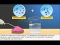Understanding Dissolving and Solutions