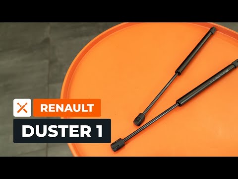 How to change the rear door gas struts on RENAULT DUSTER 1 [AUTODOC TUTORIAL]