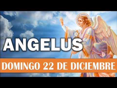 Ángelus del día de Hoy Domingo 22 de Diciembre 😇 Oraciones a la Virgen María, Oraciones Católicas