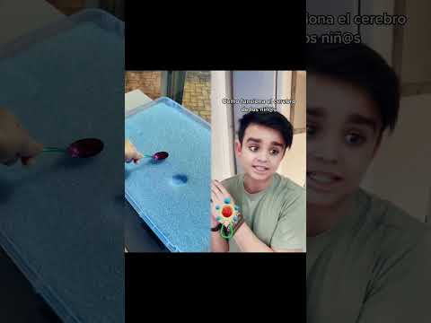 Como funciona el cerebro de los nif@s #humor #niños
