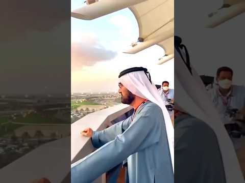 $500 MILLIONS Dubai King's Hobby #uae #dubai #amazing #king #viral #money #hobby
