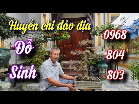 SH.9792. Cây này tôi để chơi thôi, chưa giao lưu nhé anh em.