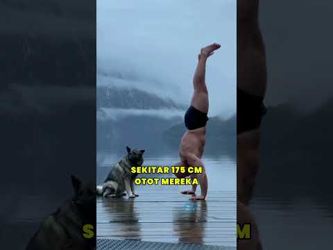 Sekuat Apa Bangsa Viking