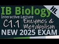 Enzyme Inhibition and Metabolic Pathways