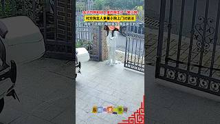 女子的狗和别人家的狗生了一窝小狗，对方狗主人拿着小狗上门讨说法，网友：这都不用做鉴定，确实亲生的！