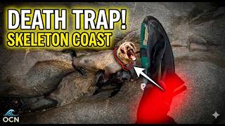 Rescue in the Skeleton Coast: Death Trap for Seals