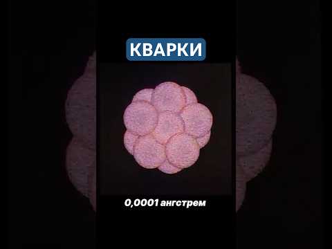 Самые маленькие частицы материи 🤯 #наука