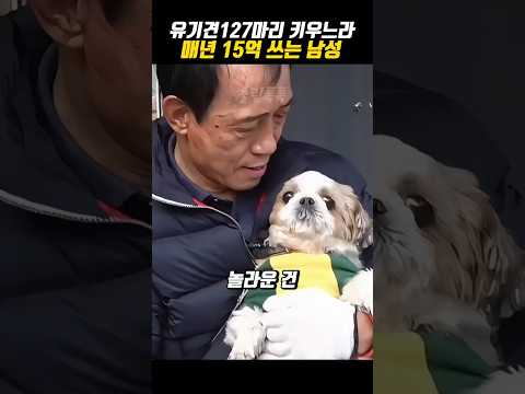 사장님이 만든 유기견 천국, 그곳의 비밀
