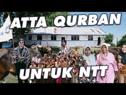ATTA AMEENA QURBAN UNTUK NTT, INSYAALLAH BERKAH!!