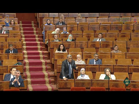 بووانو : الحكومة تتهرب من المشاركة في مناقشة مقترحات القوانين