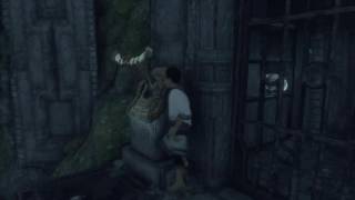 The Last Guardian funky lever bug
