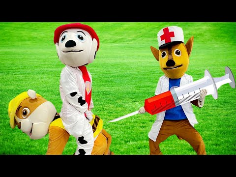 Stop, Chase & Marshal, Don't Hurt Rubble | Paw Patrol Funny Action In Real Life