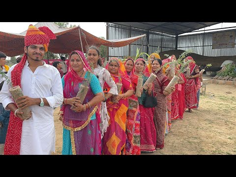 रौनक चौधरी के 20वे साल के जन्म दिवस पर जीवदया गौशाला  में 363 पेड़ लगाकर जन्म दिन मनाया शुभकामनाएँ ।