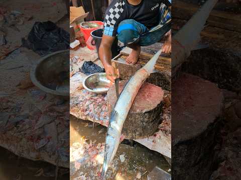 Incredible Huge Hound Fish Cutting Skills Live In Fish Market 😱😱 #shorts