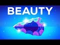 Understanding Beauty: A Human Experience