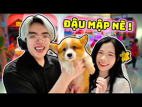 PHONG CẬN VÀ SAMMY NHẬN NUÔI THÀNH VIÊN MỚI | BÉ ĐẬU MẬP THÚ CƯNG SIÊU ĐÁNG YÊU