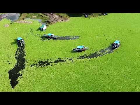 YouTube video thumbnail: Invasive Weed Turns El Salvador's Wetland Reservoir Green