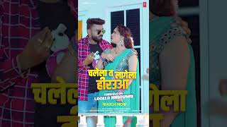 LIVE NOW - CHALELA TA LAGELA HIRAUWA | Latest Bhojpuri Song 2025 | VINAY PANDEY SANU, SHILPI RAJ |