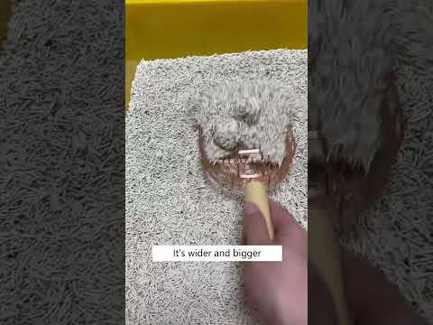 Stop Wasting Cat Litter! 😾💫