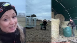 Selbstversorger Stall ISLANDPFERDE I Fütterung