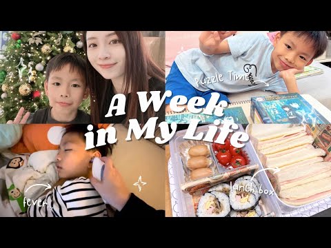 A Week In My Life♡˖꒰ᵕ༚ᵕ⑅꒱ 忙碌的考試週┃新入手彩妝品┃親試性價比面膜┃下廚日。紅燒牛肋肉┃愛心旅行便當┃湊仔和工作日常 ♥ Katy Beauty