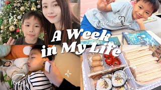 A Week In My Life♡˖꒰ᵕ༚ᵕ⑅꒱ 忙碌的考試週┃新入手彩妝品┃親試性價比面膜┃下廚日。紅燒牛肋肉┃愛心旅行便當┃湊仔和工作日常 ♥ Katy Beauty