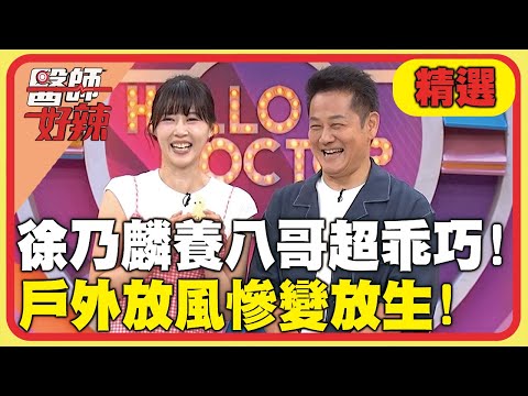 徐乃麟養八哥乖巧又聰明！戶外放風慘變放生！【#醫師好辣】20250622 EP1734 精選