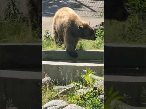 la montaña del oso lugar turístico en nueva York