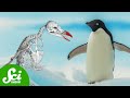 Antarctica's Glaciers and Climate Change