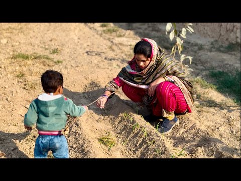 December Ki Sabji Lagaye Home Vegetables Garden