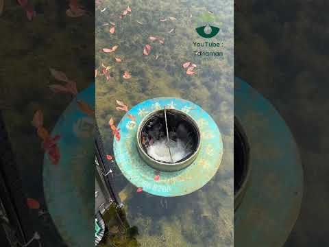 Alat ini adalah rahasia sungai di negara Jepang bisa bersih dari sampah #shorts
