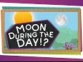 Understanding the Moon's Visibility