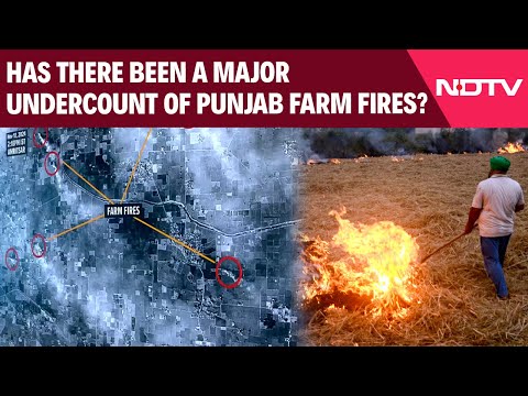 Stubble Burning | Has There Been A Major Undercount Of Punjab Farm Fires? What Satellite Pics Show