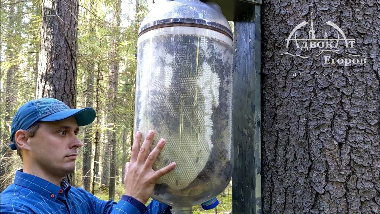 Бутылочное бесконтактное пчеловодство