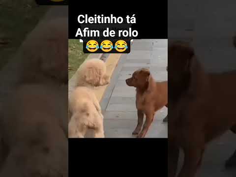 cretinho tá a fim de um rolo 😂😂😂