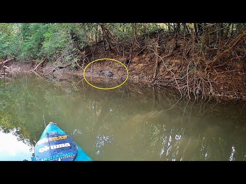 POR ESSA EU NÃO ESPERAVA... COMO PODE ISSO? Pescaria...