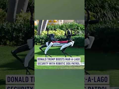Donald Trump boosts Mar-a-lago security with robotic dog patrol