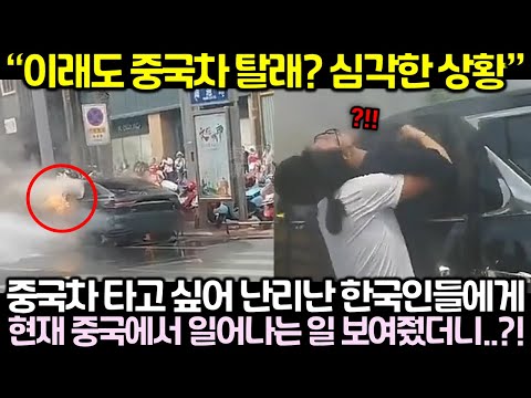 중국차 타고 싶어 난리난 한국인들에게 현재 중국에서 일어나는 일 보여줬더니 난리난 상황