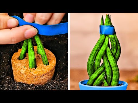 Fantastic Plant Hacks And DIY Gardening Ideas