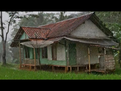 Rumah Ditengah Sawah Seram Saat Hujan Deras Di Kampung Mengguyur Jawa Barat Cisewu Garut Selatan