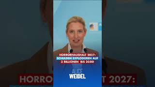 3 BILLIONEN € SCHULDEN BIS 2030! #Deutschland #Politik #Schulden #Bundeshaushalt #Nachrichten